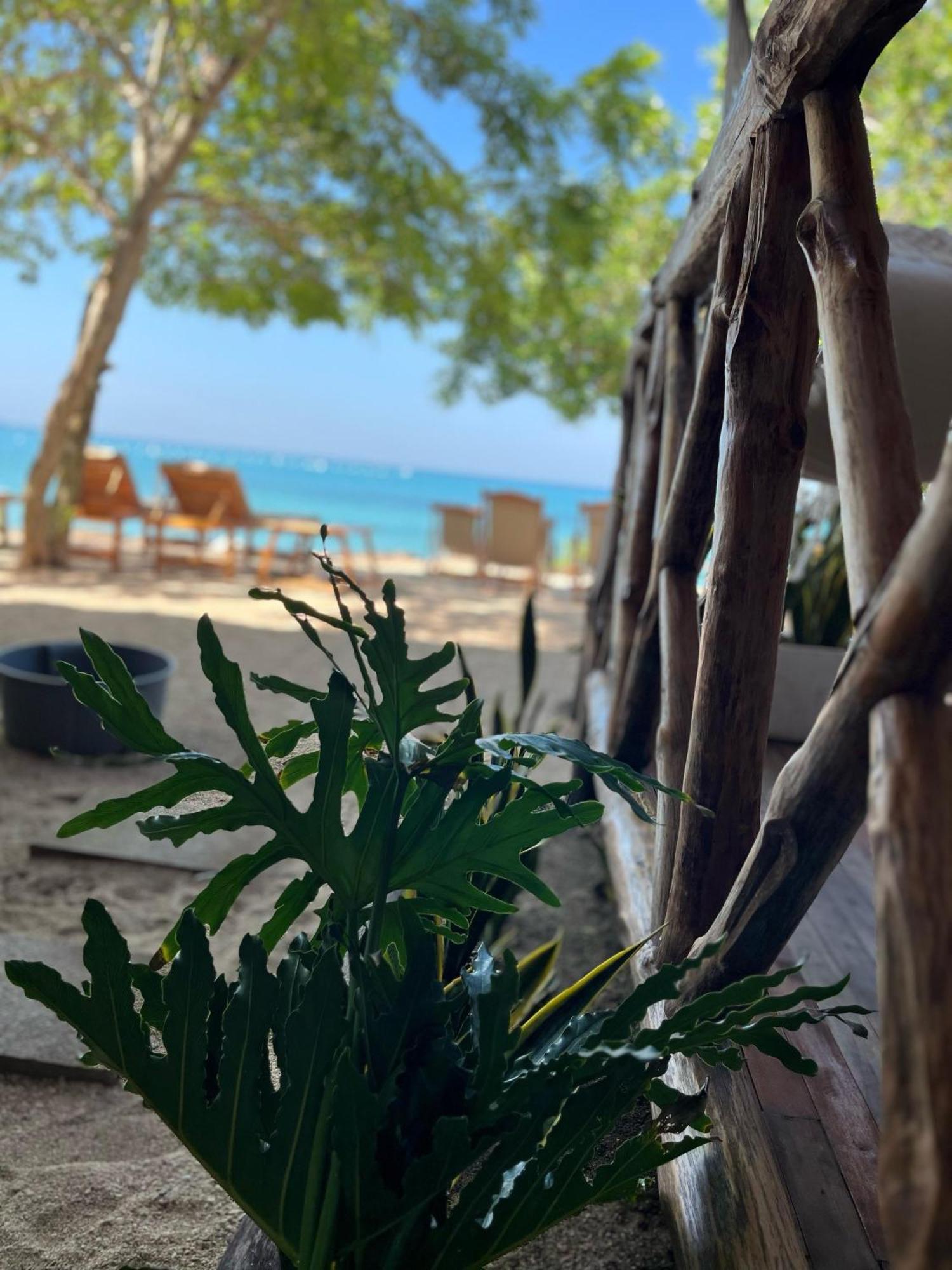 Thani Ecobeach Baru Плая Бланка Екстериор снимка